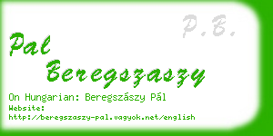 pal beregszaszy business card